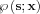 $ \wp \left ( \mathbf{s}; \mathbf{x} \right )