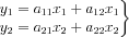 $ \left.\begin{matrix}
y_{1}=a_{11}x_{1}+a_{12}x_{1}
\\ 
y_{2}=a_{21}x_{2}+a_{22}x_{2}
\end{matrix}\right\}